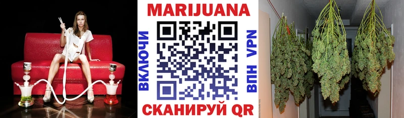 где продают   Волгоград  Шишки марихуана конопля 